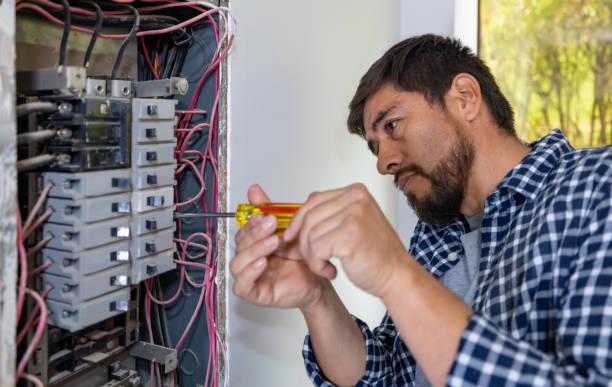 Best Industrial Electrical Services  in Dundee, MI